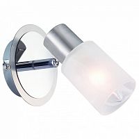 Спот Arte Lamp Cavalletta A4510AP-1SS в Волгограде