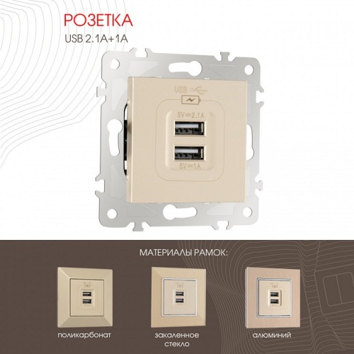 Розетка USB, без рамки Arte Milano am-203 203.46-1.shampan в Нижнем Новгороде фото 6