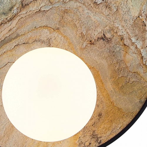 Накладной светильник Favourite Messier 4594-1W в Нижнем Новгороде фото 2