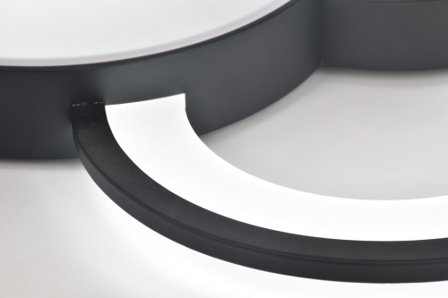 Потолочная люстра Rivoli Aliona Б0066452 в Нижнем Новгороде фото 4