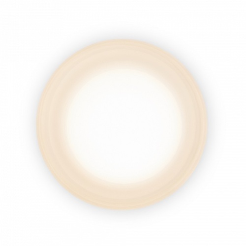 Накладной светильник Freya Retro FR5603WL-L8W в Нижнем Новгороде фото 5