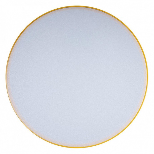 Накладной светильник Loft it Axel 1 10002/24 Yellow в Нижнем Новгороде фото 5