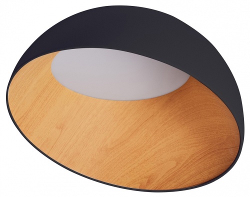 Накладной светильник Zortes Baum ZRS.01243.05 в Нижнем Новгороде