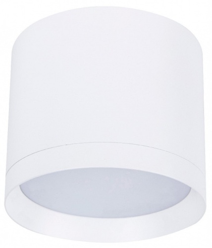 Накладной светильник Favourite Rote 4708-1C в Нижнем Новгороде