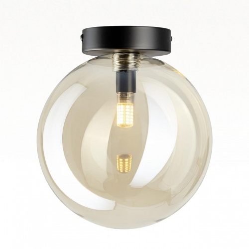 Накладной светильник Citilux ORTON CL202512 в Нижнем Новгороде фото 7