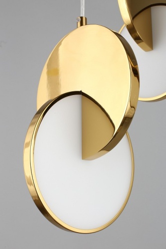 Подвесной светильник Aployt Mila APL.044.16.24 в Нижнем Новгороде фото 9