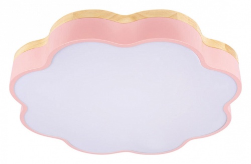 Накладной светильник Loft it Axel 10225/36 Pink в Нижнем Новгороде