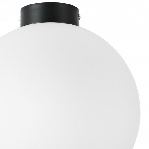 Накладной светильник Lightstar Globo 812037 в Нижнем Новгороде фото 2