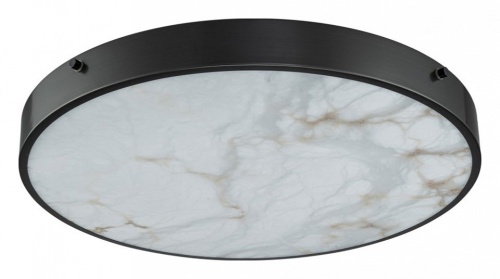 Накладной светильник Belfast Devon 3395-5 BL MB в Нижнем Новгороде