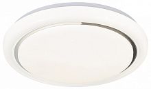 Накладной светильник Escada  10227/SG LED APP в Нижнем Новгороде