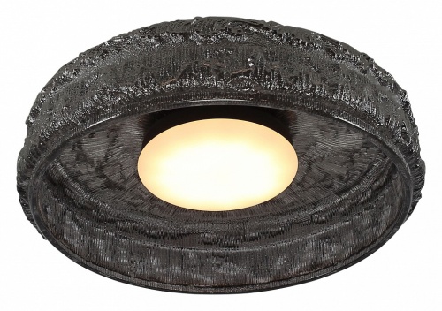 Накладной светильник ST-Luce ANTIKE SL6143.412.01 в Нижнем Новгороде фото 3