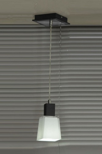 Подвесной светильник Lussole Lente GRLSC-2506-01 в Шахунье фото 7