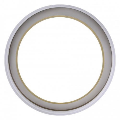 Накладной светильник Zortes Adel ZRS.1200.01 в Нижнем Новгороде фото 10