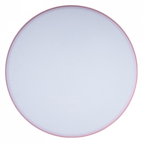 Накладной светильник Loft it Axel 1 10002/24 Pink в Нижнем Новгороде фото 4