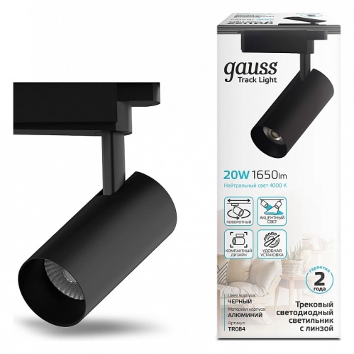 Светильник на штанге Gauss TR TR084 в Нижнем Новгороде фото 3