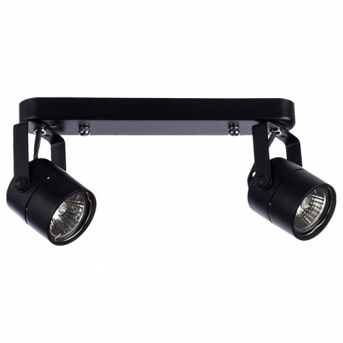 Спот Arte Lamp Mizar A1311PL-2BK в Нижнем Новгороде
