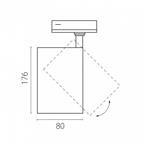Светильник на штанге Lightstar Canno Pro C4306SS в Нижнем Новгороде фото 2