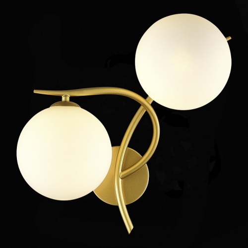 Бра EVOLUCE Artu SLE2210-201-02 в Нижнем Новгороде фото 2