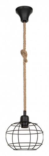 Подвесной светильник TopLight Adella TL1600H-01BK в Нижнем Новгороде фото 2