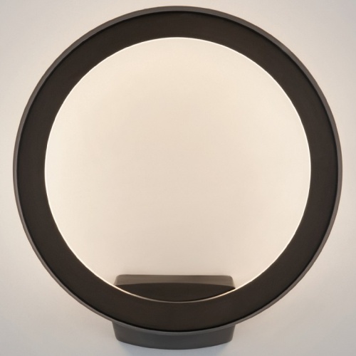 Светильник на штанге Elektrostandard Ring a054933 в Нижнем Новгороде