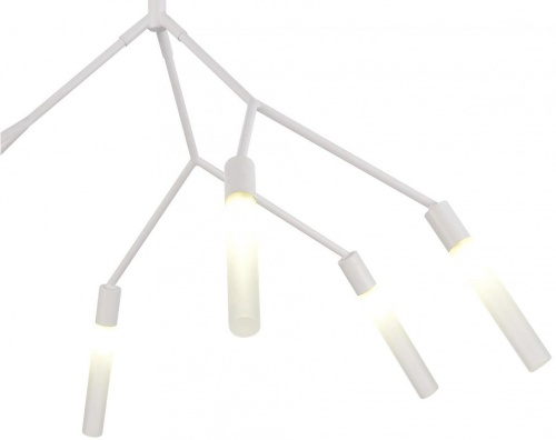 Подвесная люстра EVOLUCE Kaito SLE1129-503-06 в Нижнем Новгороде фото 2