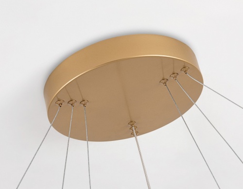 Подвесной светильник Ambrella Light FL FL5516 в Нижнем Новгороде фото 2