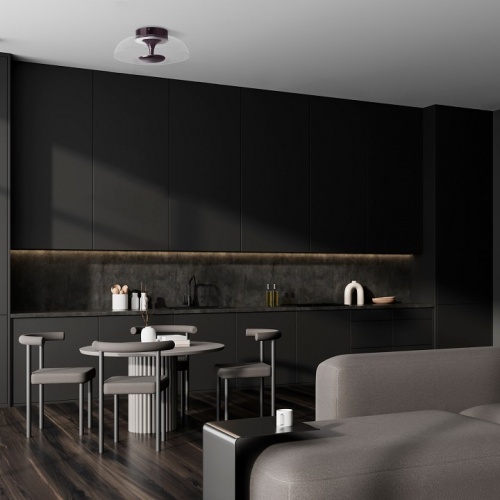 Накладной светильник Lightstar Celesta 809200 в Нижнем Новгороде фото 6