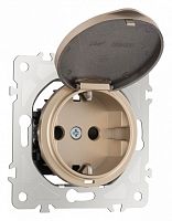 Розетка влагозащищенная с заземлением и со шторкой с крышкой Arte Milano am-202 202.41-1.shampan в Нижнем Новгороде