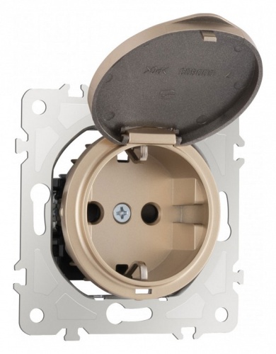 Розетка влагозащищенная с заземлением и со шторкой с крышкой Arte Milano am-202 202.41-1.shampan в Нижнем Новгороде