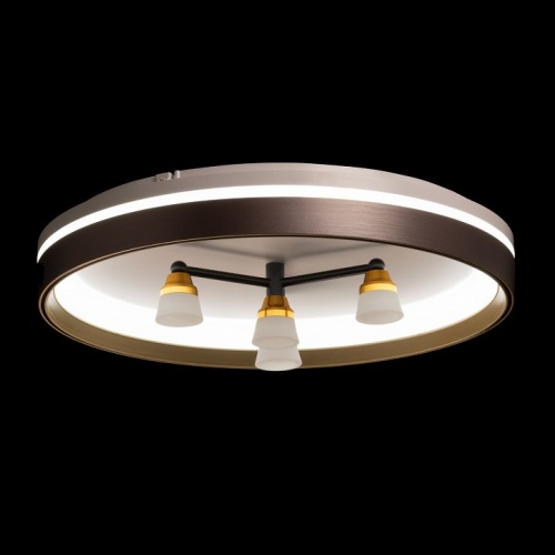 Потолочная люстра De City Семья 66 660014701 в Нижнем Новгороде фото 7