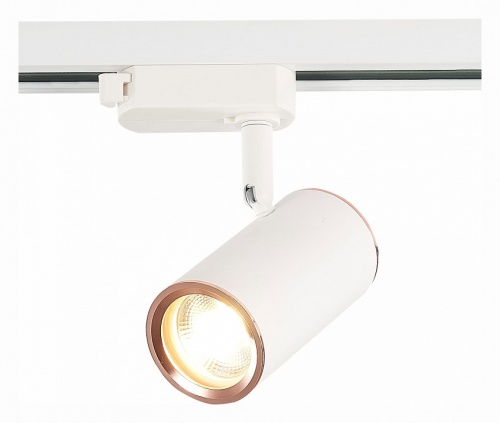 Светильник на штанге ST-Luce Cromi ST301.526.01 в Нижнем Новгороде фото 2