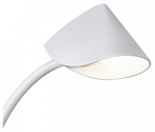 Настольная лампа офисная Mantra Capuccina 7576 в Нижнем Новгороде фото 2