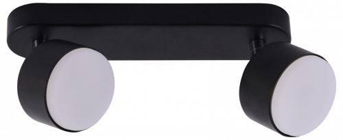 Спот Rivoli Alesta 7079-702 в Нижнем Новгороде