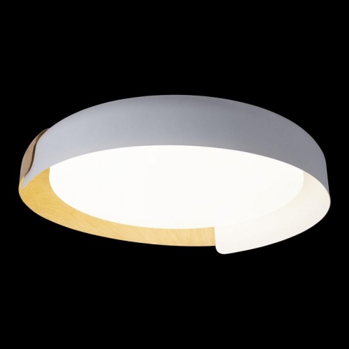 Накладной светильник Loft it Coin 10198 White в Нижнем Новгороде фото 7