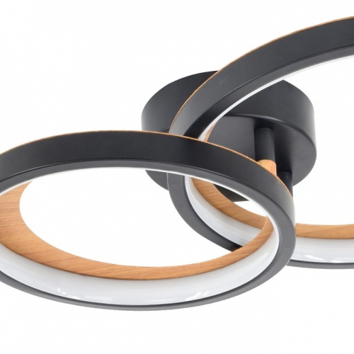 Накладной светильник Escada Callisto 10265/2LED в Нижнем Новгороде фото 3