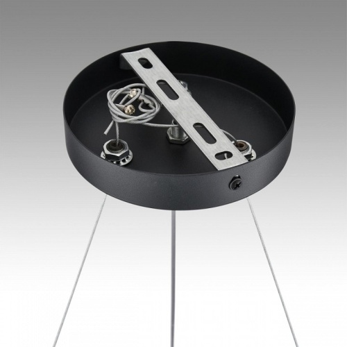 Подвесная люстра Lumion Luazana 8242/6 в Нижнем Новгороде фото 6