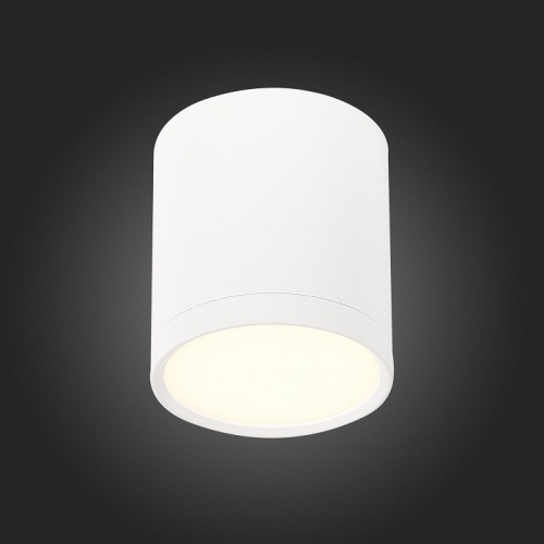 Накладной светильник ST-Luce Rene ST113.532.05 в Нижнем Новгороде фото 2