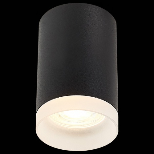 Накладной светильник ST-Luce ST100 ST100.402.01 в Нижнем Новгороде фото 3