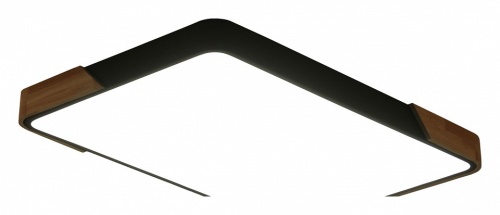 Накладной светильник Zortes Alberro ZRS.01244.60 в Нижнем Новгороде фото 4