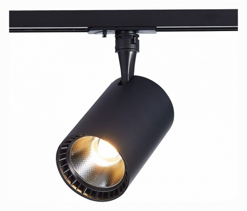 Светильник на штанге ST-Luce Cami ST351.446.20.36 в Нижнем Новгороде фото 9