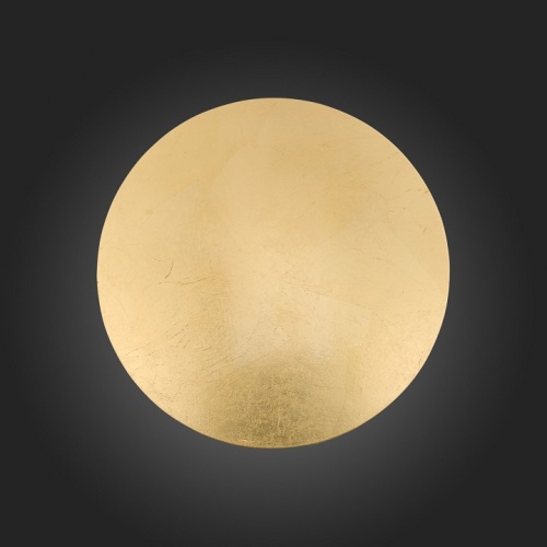 Накладной светильник ST-Luce Aureo SL457.211.01 в Нижнем Новгороде фото 3