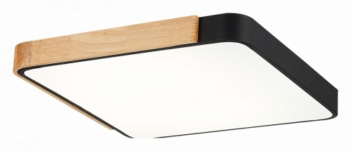 Накладной светильник EVOLUCE Festa SLE201242-01 в Нижнем Новгороде фото 2