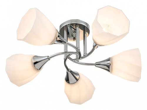 Потолочная люстра Escada Camellia 664/5P в Нижнем Новгороде фото 5
