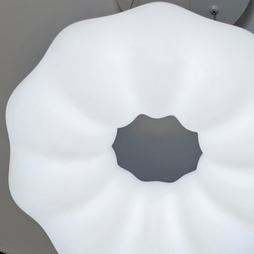 Подвесной светильник Zortes Soft ZRS.1119.01 в Нижнем Новгороде фото 13