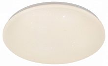 Накладной светильник Escada  10213/SG LED в Нижнем Новгороде