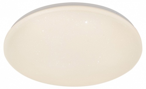 Накладной светильник Escada  10213/SG LED в Нижнем Новгороде