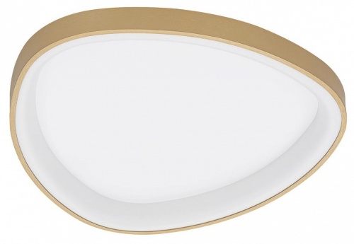 Накладной светильник Citilux GENKA SMART CL756A142 в Нижнем Новгороде