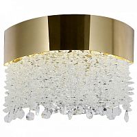 Накладной светильник Lussole Starr LSP-7478 в Нижнем Новгороде