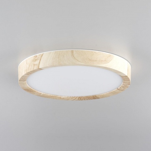 Накладной светильник Citilux Бейсик CL738122N в Нижнем Новгороде фото 3