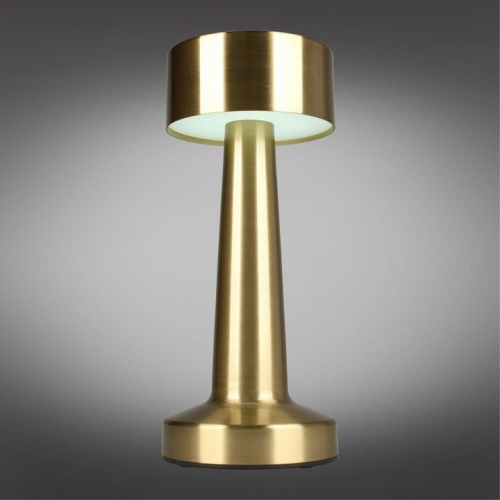 Настольная лампа декоративная Aployt Perrayn APL.671.04.01 в Нижнем Новгороде фото 11